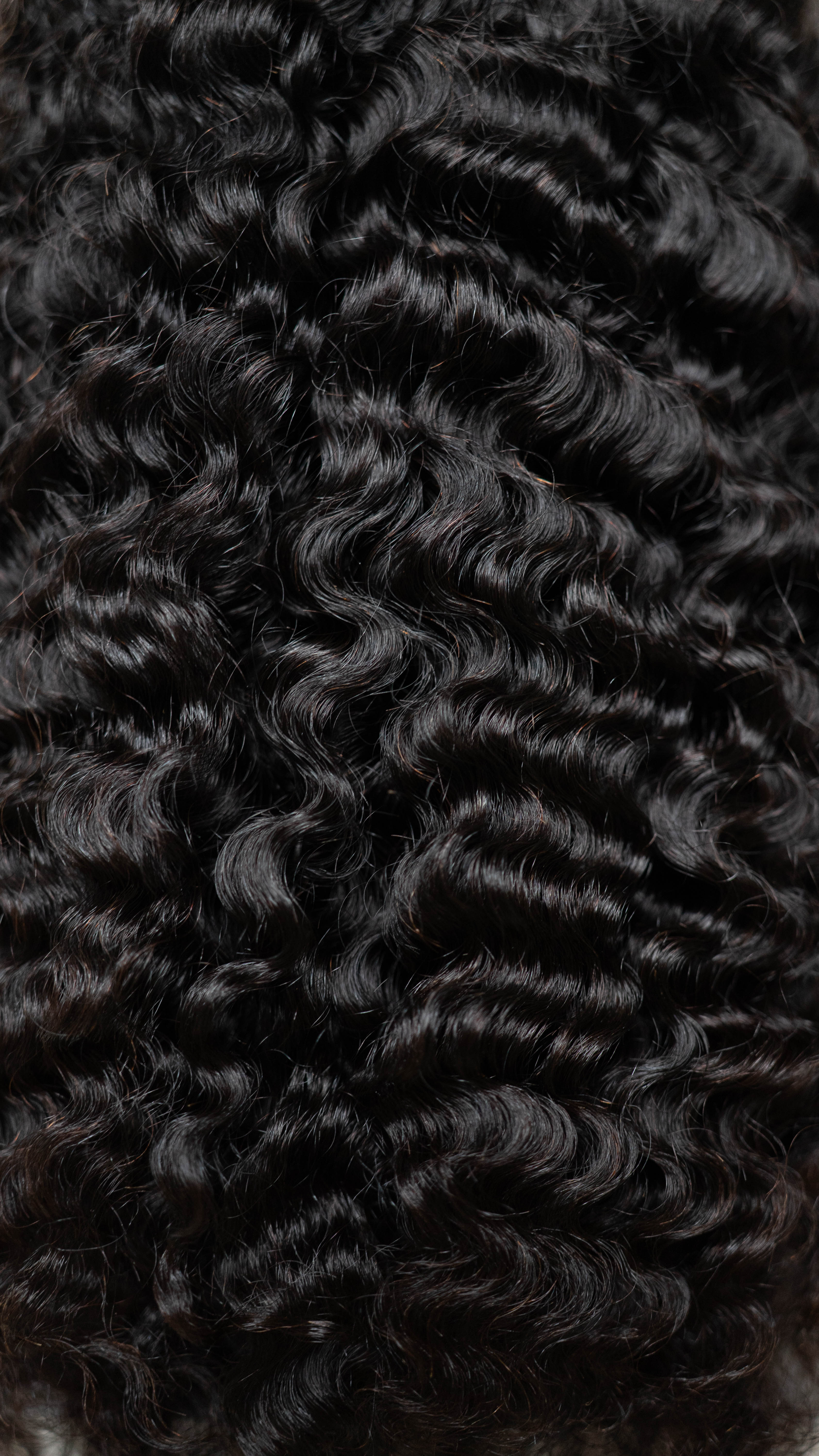 16' Burmese Curly